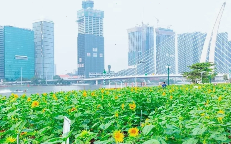 Công viên bờ sông Thủ Đức nhìn ra sông Sài Gòn và các tòa nhà cao tầng