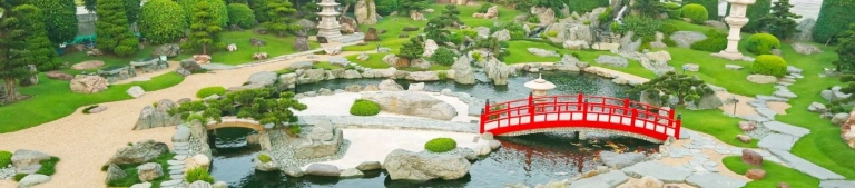 Công viên Cá Koi Rin Rin Park: Khám phá Vườn Nhật Bản giữa lòng Sài Gòn