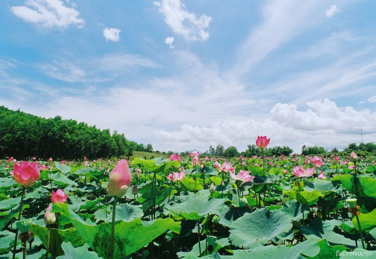Công viên Chiến thắng: Biểu tượng lịch sử và niềm tự hào của Bà Rịa - Vũng Tàu