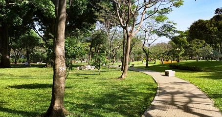Công Viên Gia Định: Lá Phổi Xanh và Điểm Hẹn Giải Trí Lý Tưởng Tại Sài Gòn