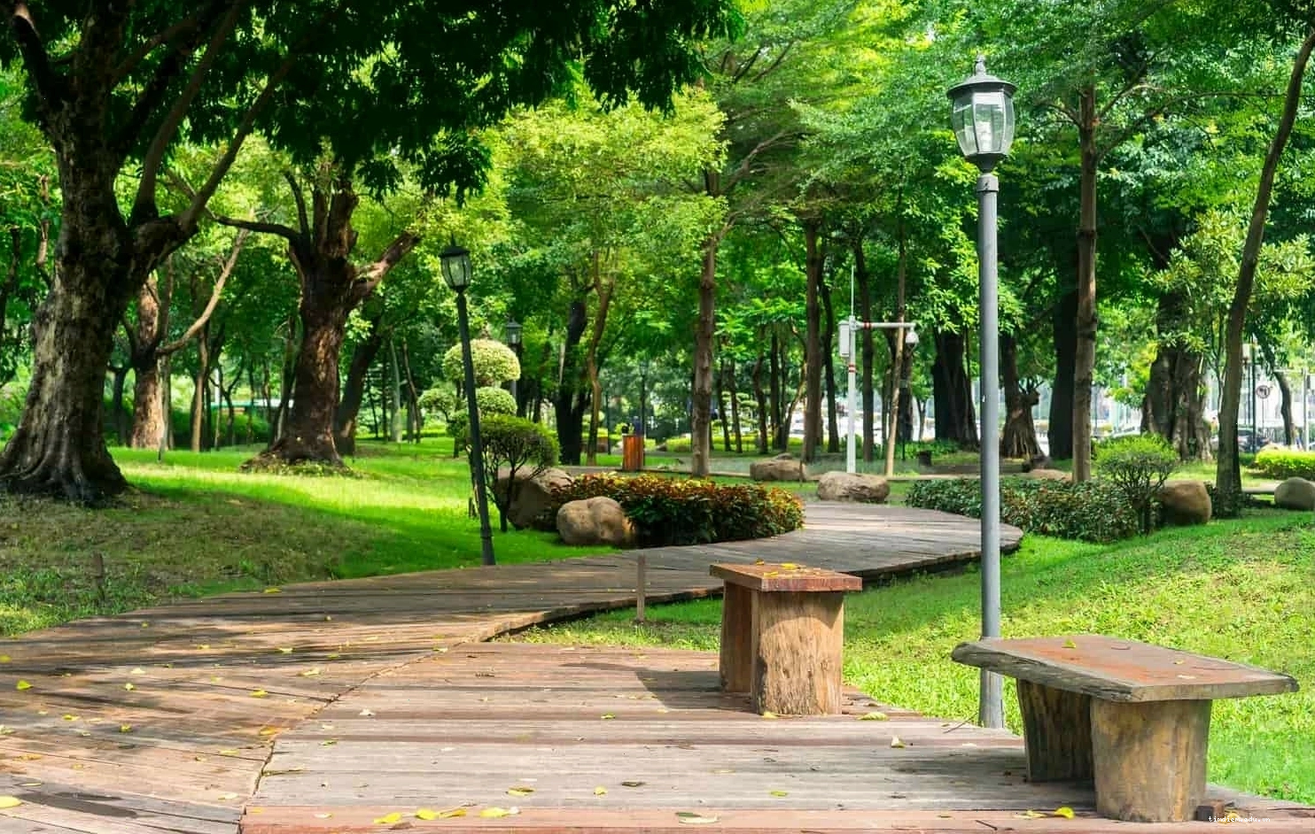 Công viên Gia Định với không gian xanh rộng lớn