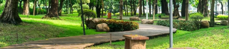 Công Viên Lê Thị Riêng Ở Đâu: Khám Phá Không Gian Xanh Giữa Lòng Sài Gòn
