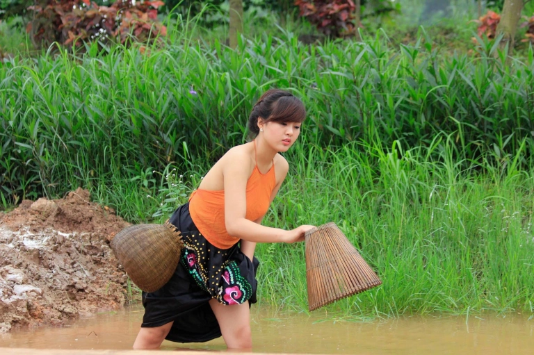 Công Viên Nông Nghiệp Long Việt Sóc Sơn Điểm Đến Hấp Dẫn Cho Mọi Gia Đình