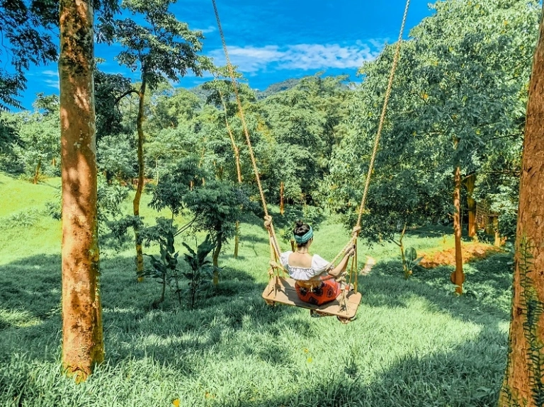Công Viên Ozo Quảng Bình: Khám Phá Thiên Đường Vui Chơi Giữa Lòng Phong Nha