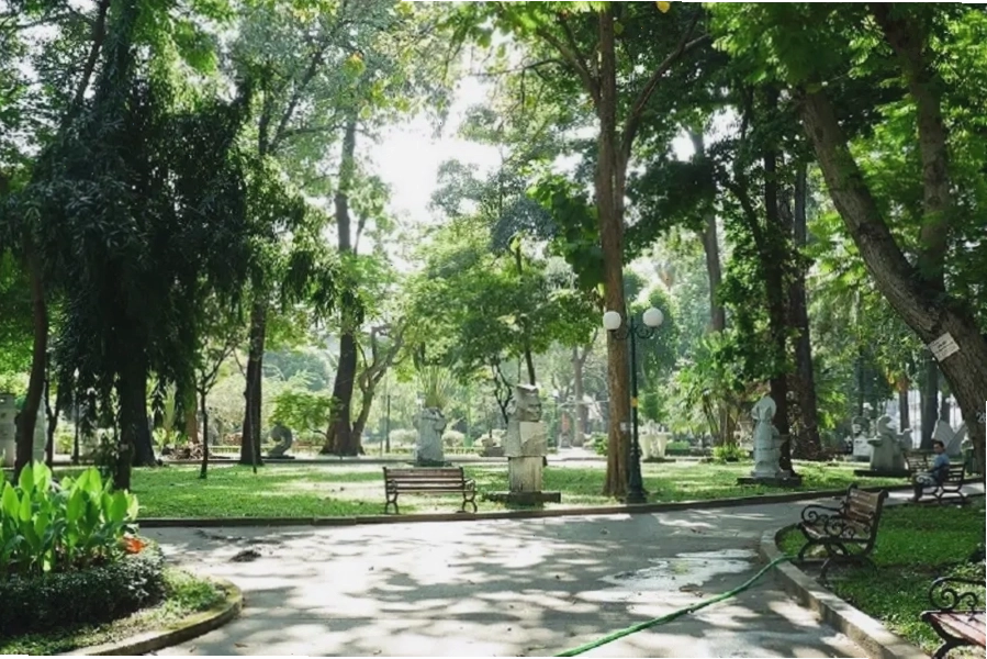 Công viên Tao Đàn nhìn từ trên cao với không gian cây xanh bao phủ