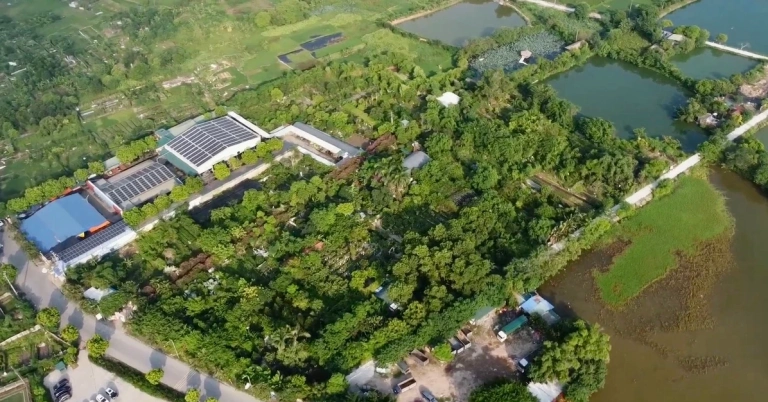 Công viên Thực vật cảnh Việt Nam: Ốc đảo xanh giữa lòng Hà Nội