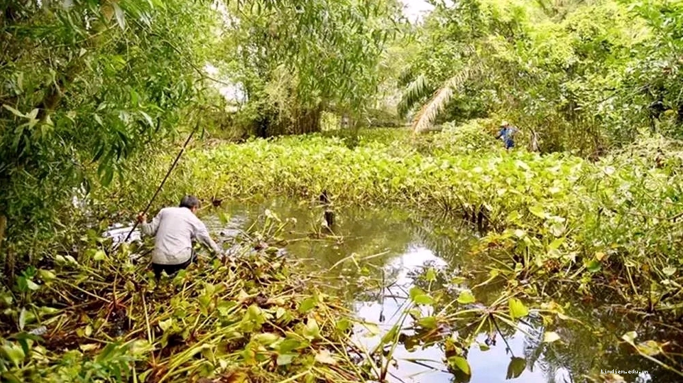 Công viên văn hóa An Hòa - điểm đến lý tưởng cho mọi gia đình