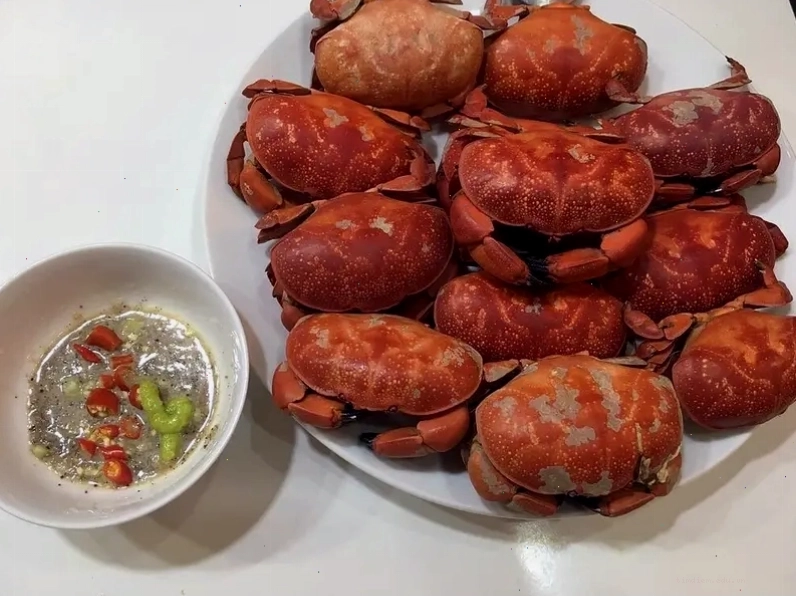 Cù kỳ tươi sống hấp dẫn tại đảo Quan Lạn