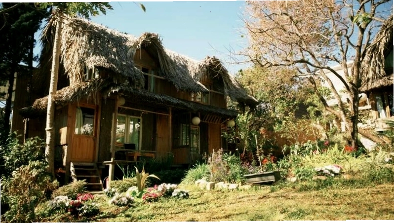 Củi Homestay Đà Lạt với không gian xanh mát và những ngôi nhà gỗ