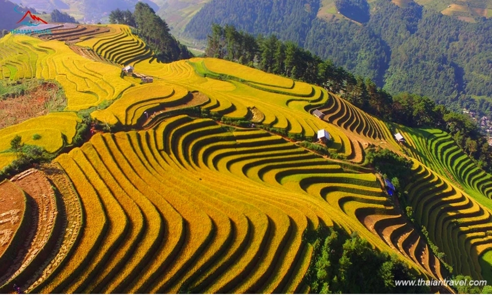 Cung đường di chuyển đến Ngọc Chiến