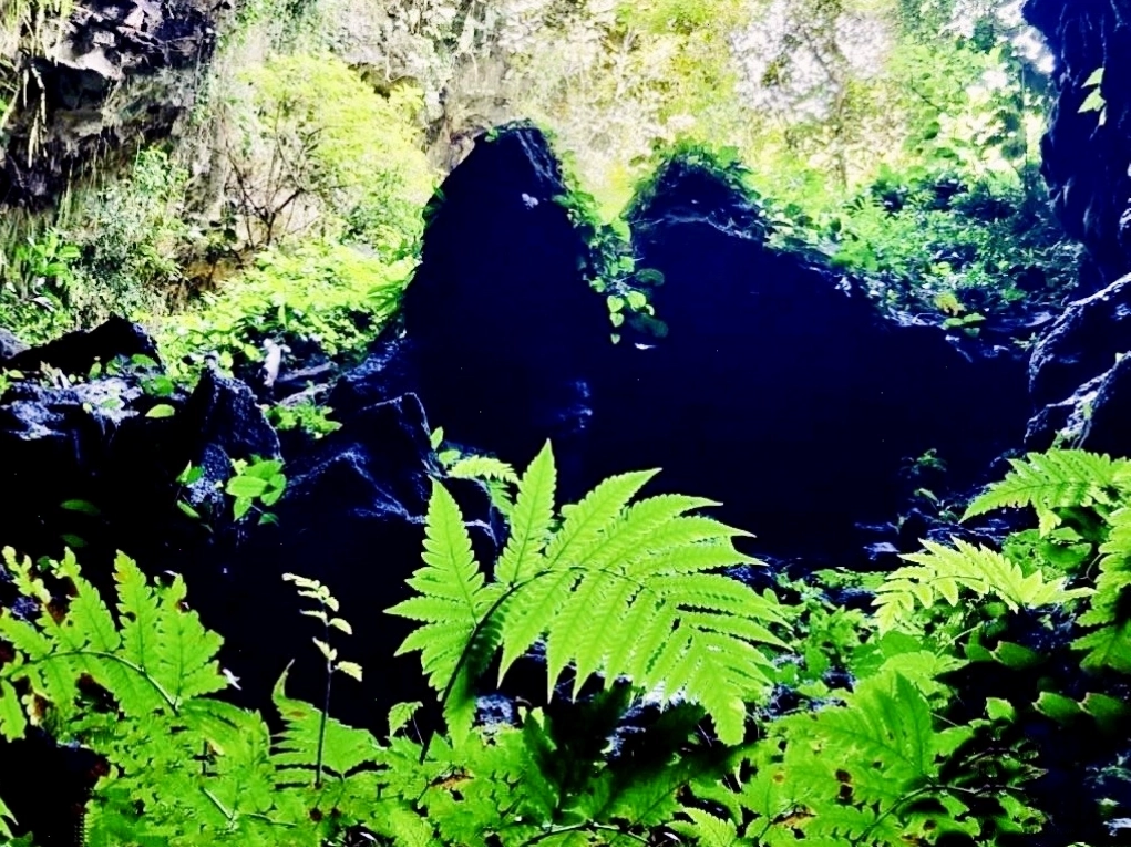 Cung đường trekking dài 25km dọc sông Sêrêpok dẫn đến hang động núi lửa Chư Bluk với hệ thực vật nguyên sinh phong phú