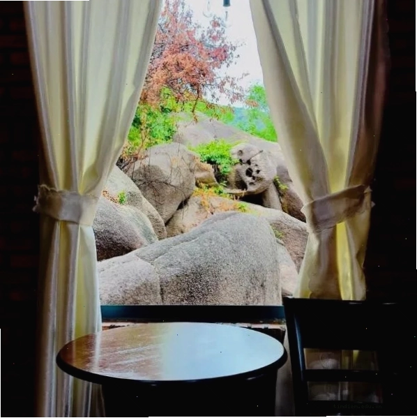 Da Let Homestay & Coffee Hiệp Mỹ