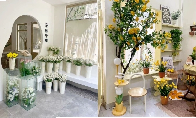 Daisy Coffee - Quán cafe sân vườn Bình Thạnh với thiết kế hoa