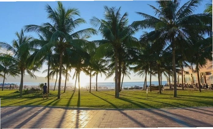 Đàn bồ câu trắng bay lượn tại Công viên Biển Đông