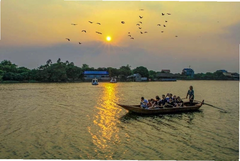Đảo Cò Chi Lăng Nam - điểm du lịch sinh thái hấp dẫn tại Hải Dương