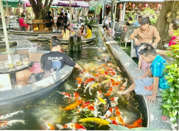 Đảo Koi Coffee Garden với không gian sân vườn và cá Koi