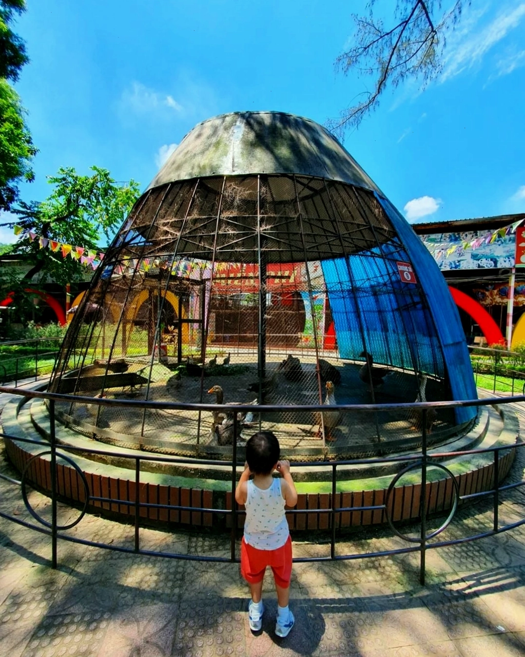 Đạp vịt trên hồ tại công viên Thủ Lệ