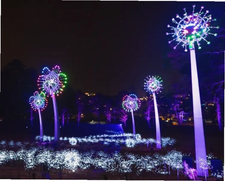 Delight Park Đà Lạt về ban ngày với không gian xanh mát và những khu vườn hoa rực rỡ