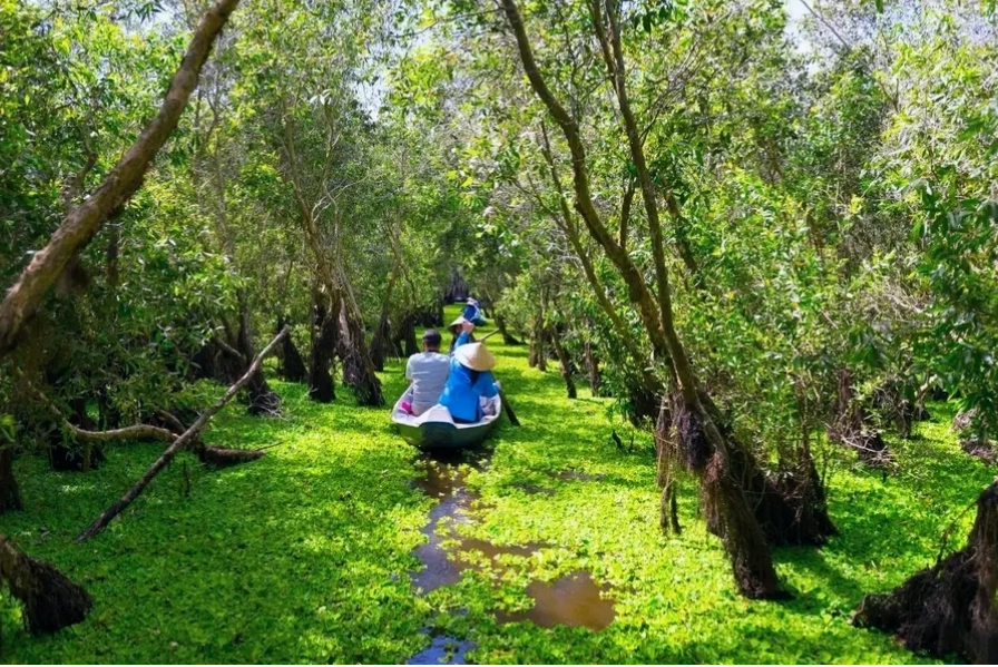 Địa điểm du lịch miền Tây rừng tràm Trà Sư xanh mát nổi bật với hệ sinh thái phong phú