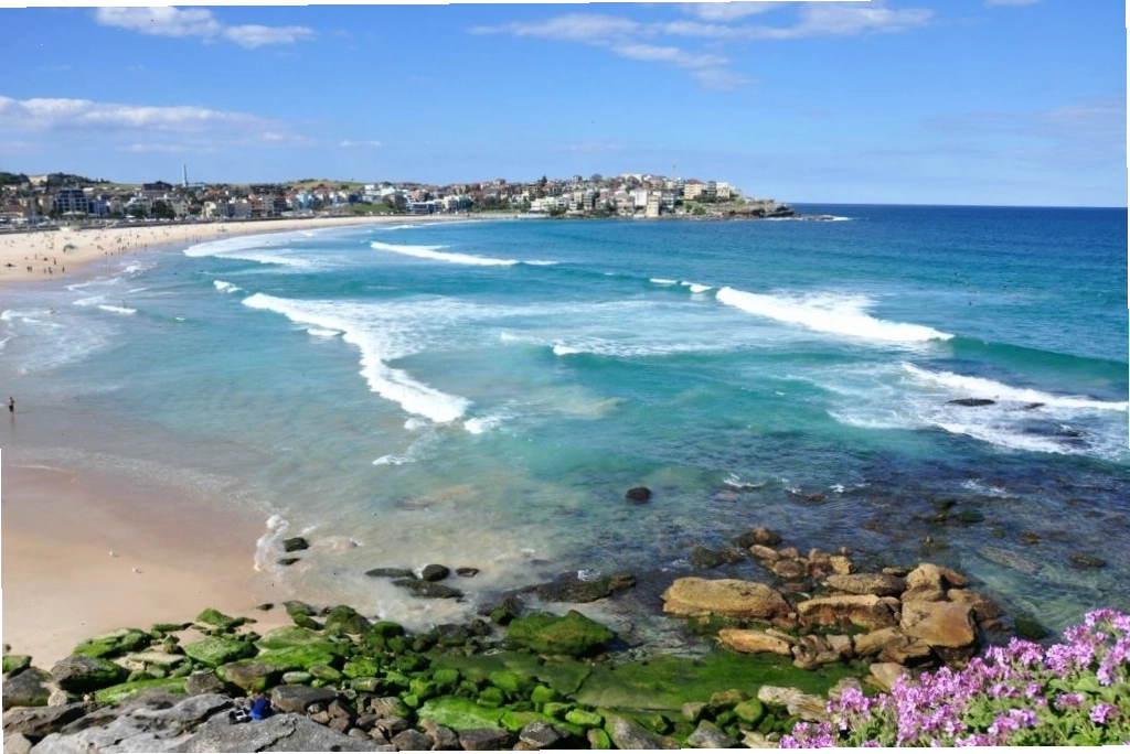 Điều gì giúp bãi biển Bondi thu hút đến thế?