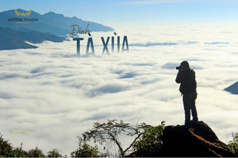 Đỉnh Tà Xùa hùng vĩ nhìn ra biển mây trắng xóa