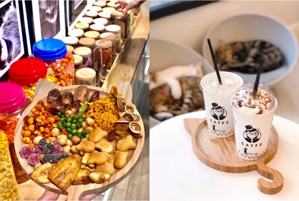 Đồ uống và đồ ăn vặt tại quán CATFE