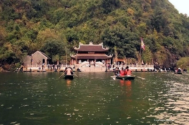 Đồi chè Kỳ Trung xanh mướt và yên bình