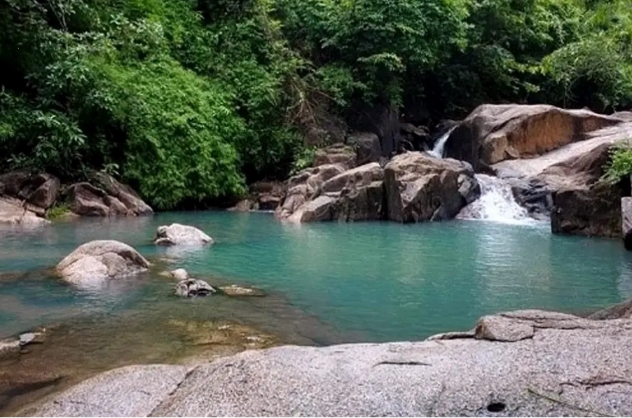 Dòng Suối Trạch trong veo uốn lượn giữa thiên nhiên