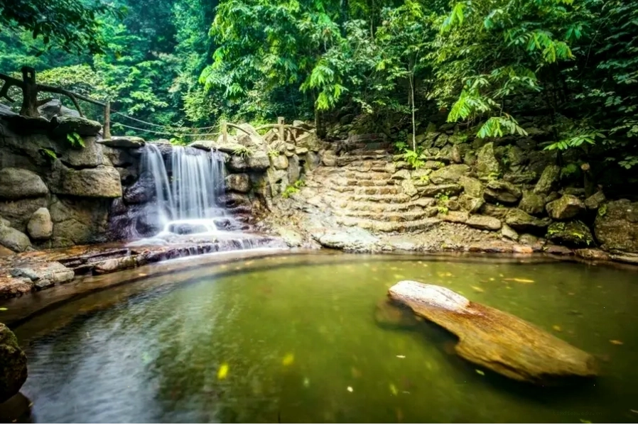 Dòng suối trong veo chảy qua khu rừng xanh mướt