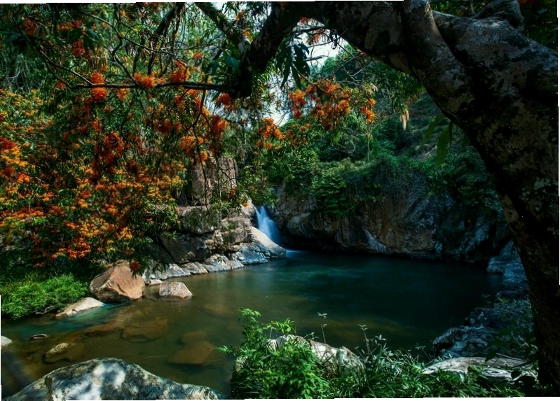 Dòng suối trong xanh tại Suối Tà Má