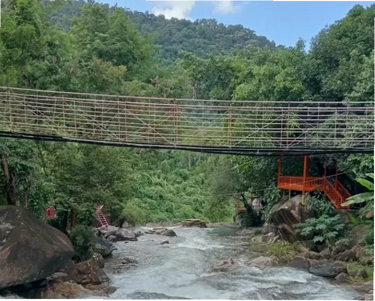 Du khách băng qua cầu tre tại khu du lịch sinh thái Suối Chí