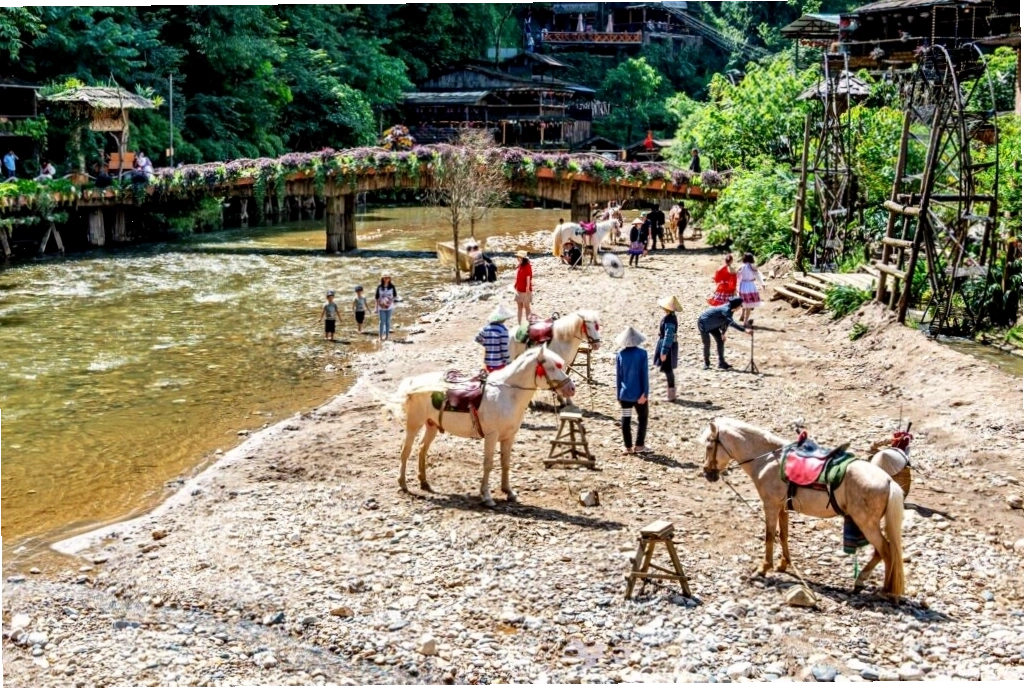 Du khách chụp ảnh cùng ngựa tại Làng Cát Cát