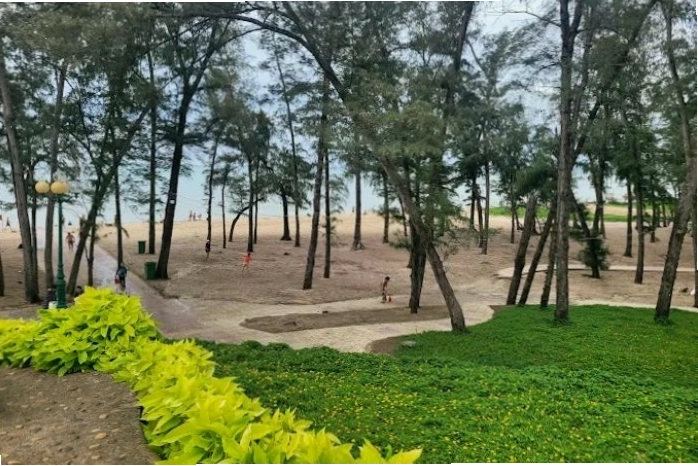 Du khách thư giãn dưới bóng dừa tại Công viên Đồi Dương