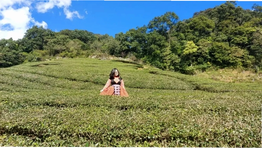 Du lịch Pà Cò mùa xuân với hoa đào, hoa mận khoe sắc