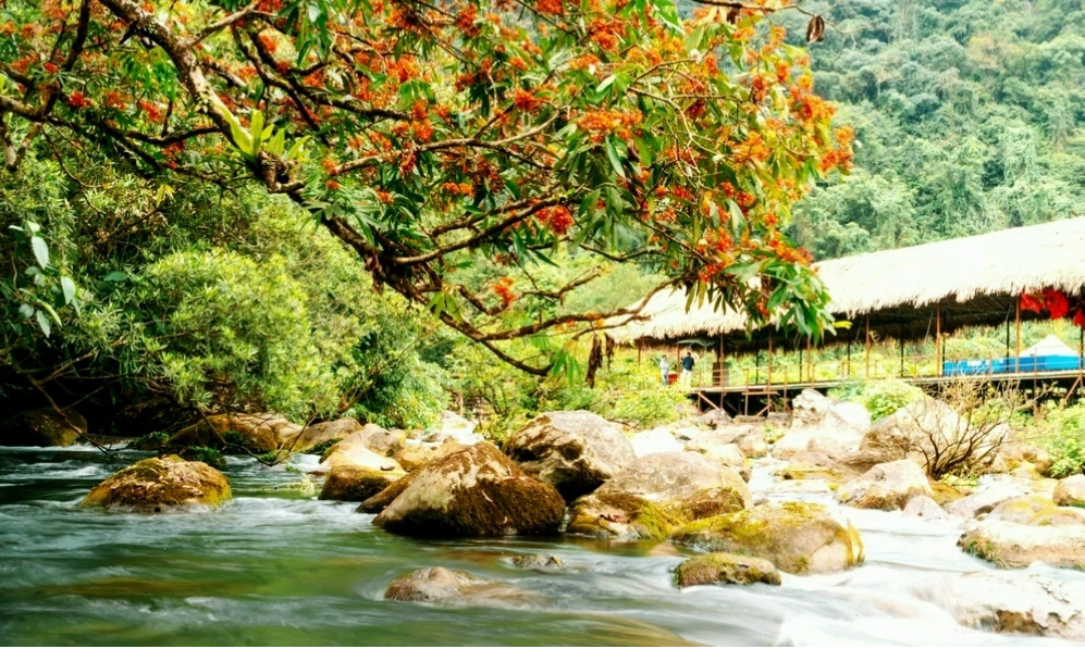 Du lịch Quảng Bình khám phá Suối Moọc