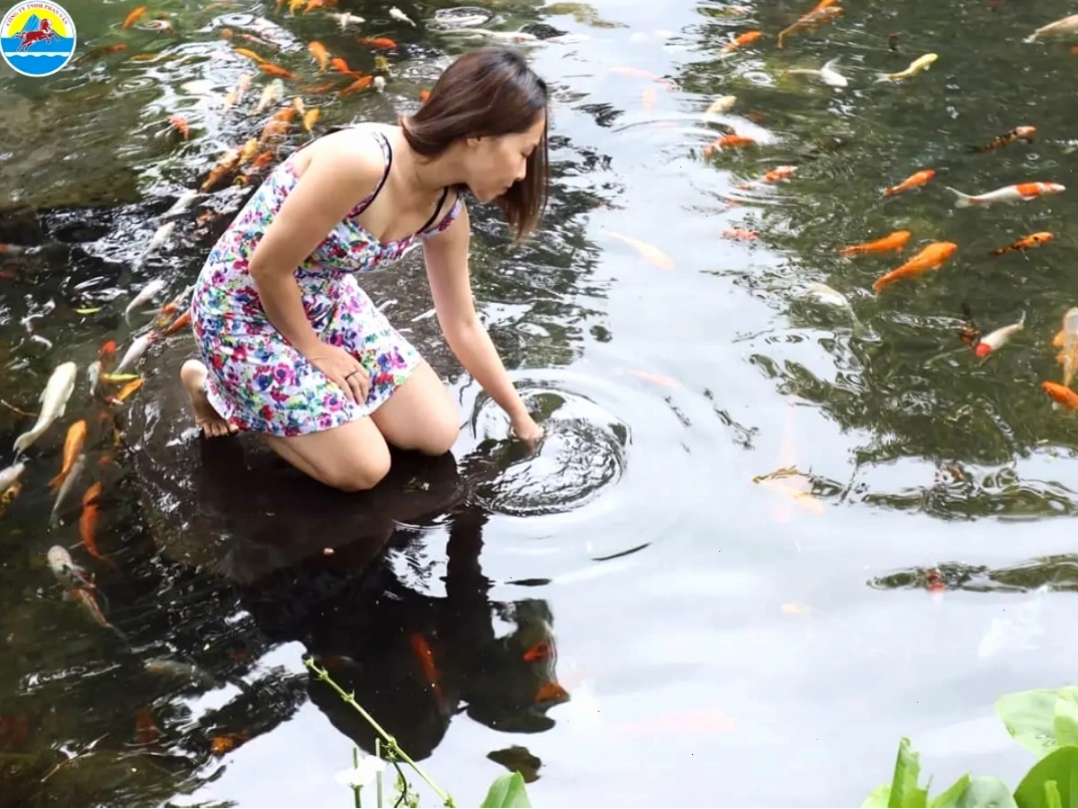 Du lịch Suối Mơ Đồng Nai