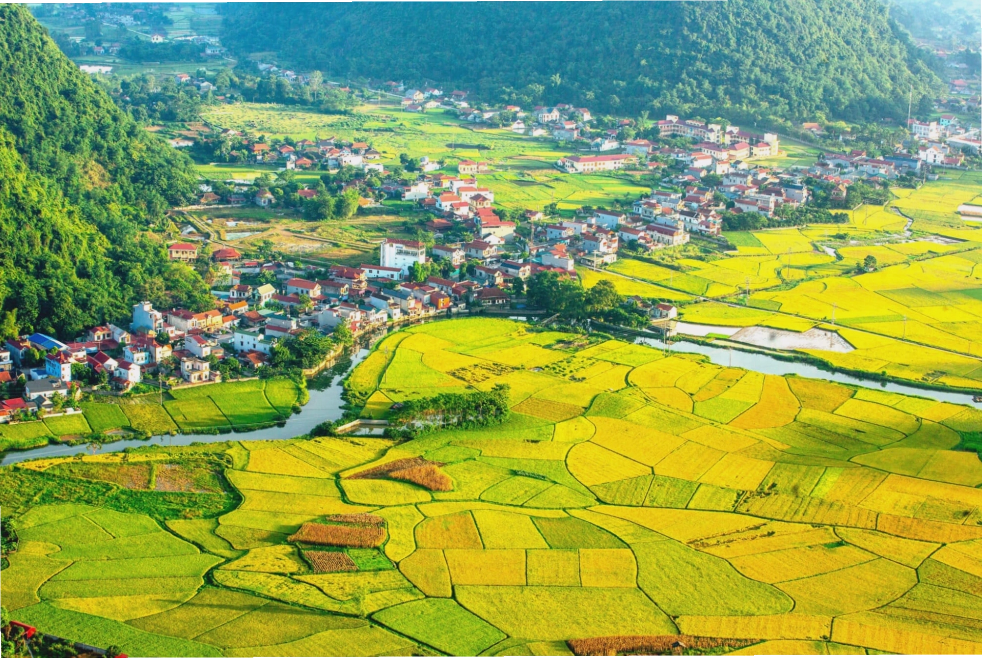 Du lịch Suối Mỏ Mắm mùa lúa chín với khung cảnh vàng rực rỡ