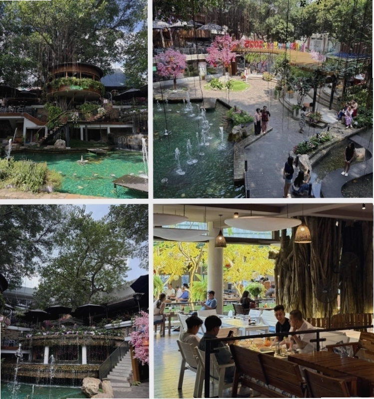 Du Miên Garden Cafe - Quán cà phê Gò Vấp view sân thượng