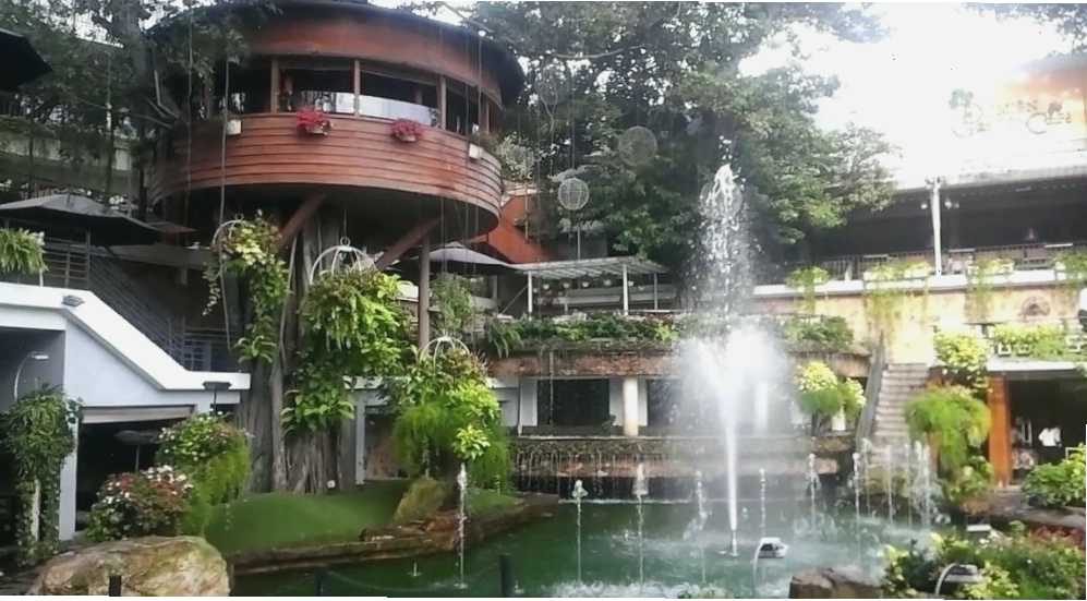 Du Miên Garden - Quán cafe Gò Vấp nổi bật với không gian xanh mát