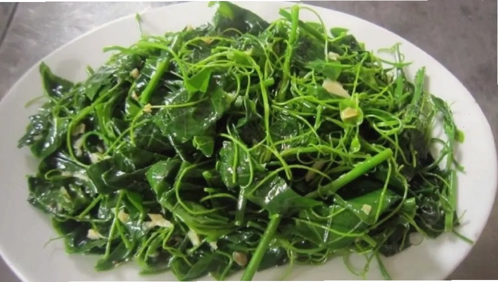 Du thuyền trên Hồ Núi Cốc