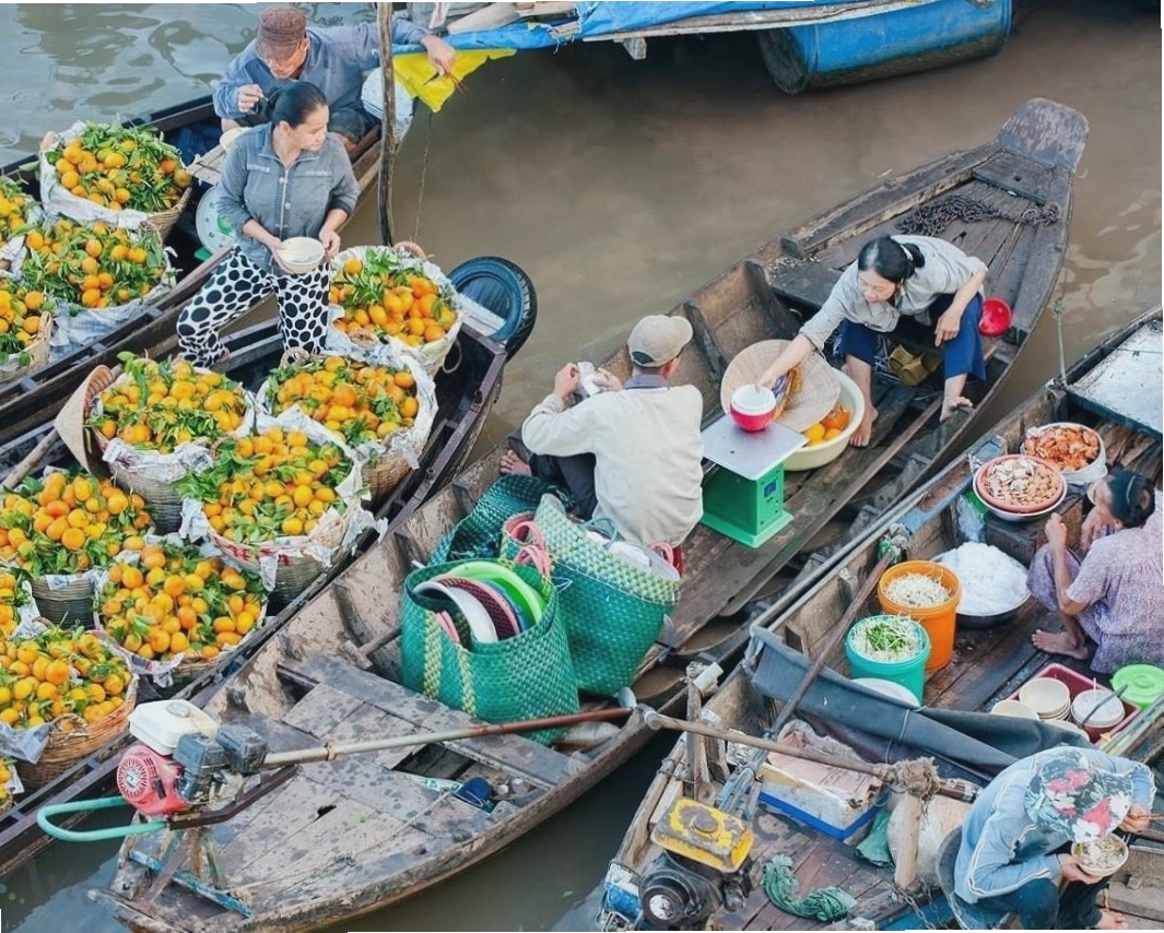 Du thuyền trên sông Cần Thơ ngắm cảnh hoàng hôn