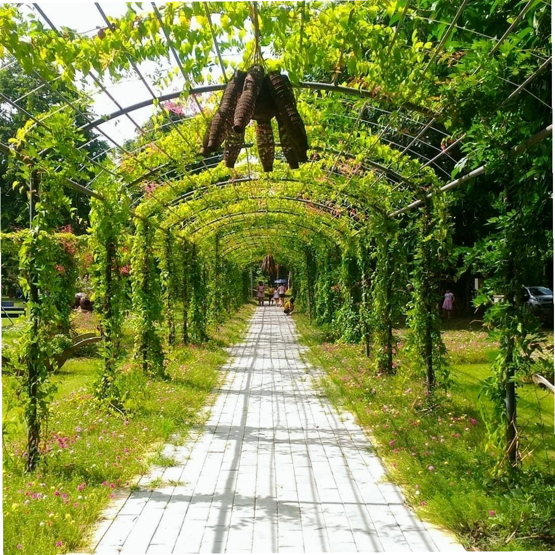 Đường dẫn hoa rực rỡ tại Công viên Mùa Hạ Ecopark