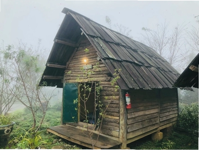 Đường dẫn lên Tà Xùa Hills Homestay quanh co giữa núi rừng