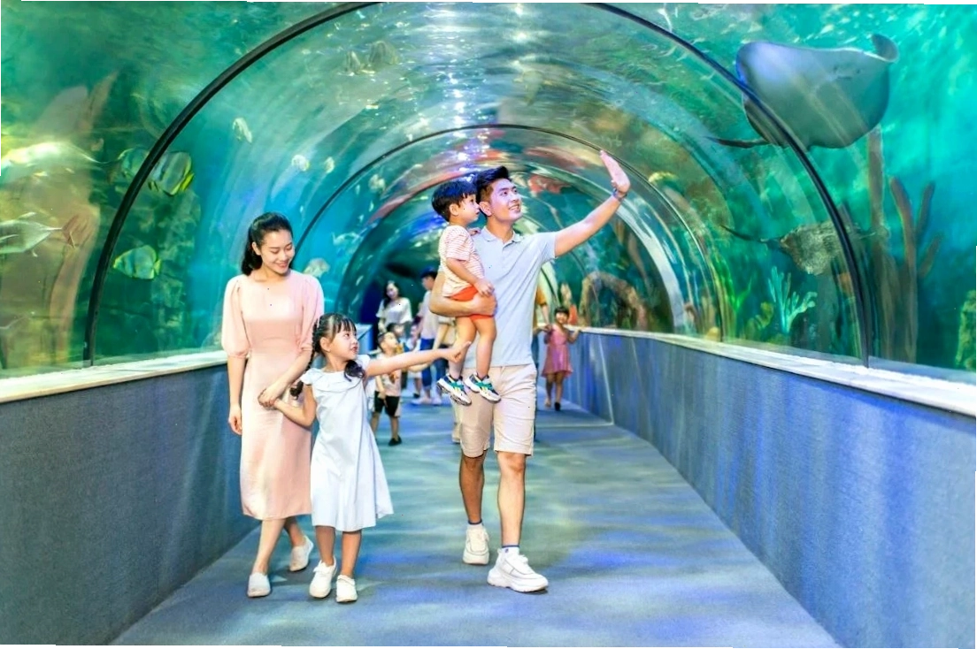 Đường đi bộ rợp bóng cây tại Công Viên Thủ Lệ