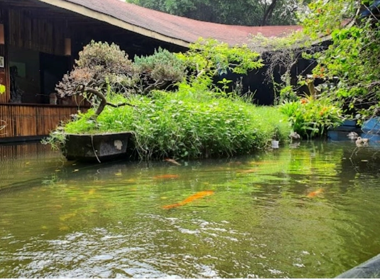 Ellip Cafe - Không gian độc đáo với hồ cá Koi
