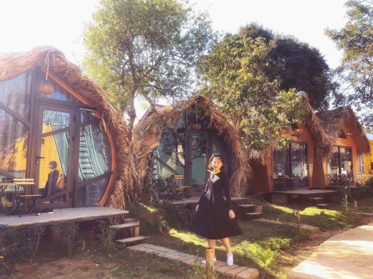 Fairy House Homestay Mộc Châu: Khám phá ngôi nhà cổ tích giữa lòng Sơn La