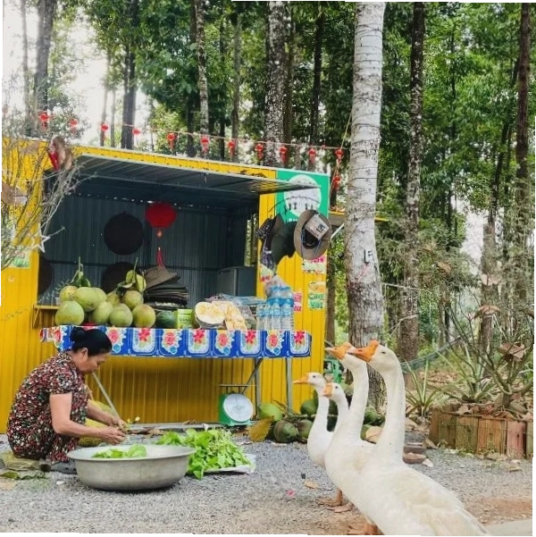 Forest Side Ecolodge, Cát Tiên - Lựa chọn nghỉ dưỡng gần Tân Phú