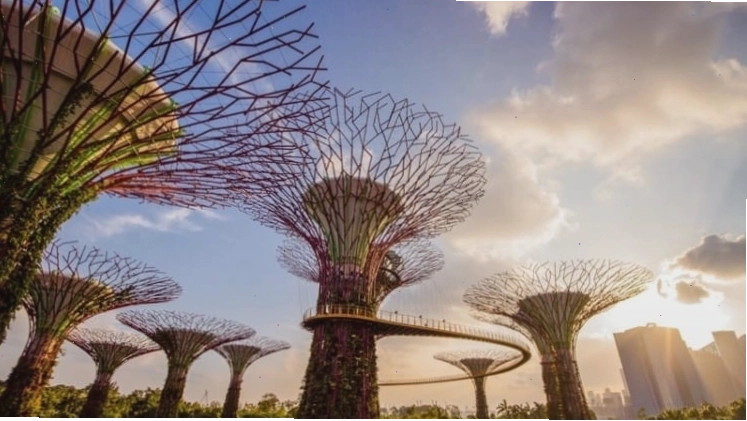 Garden by the Bay nổi tiếng với kiến trúc độc đáo, gần Merlion Park