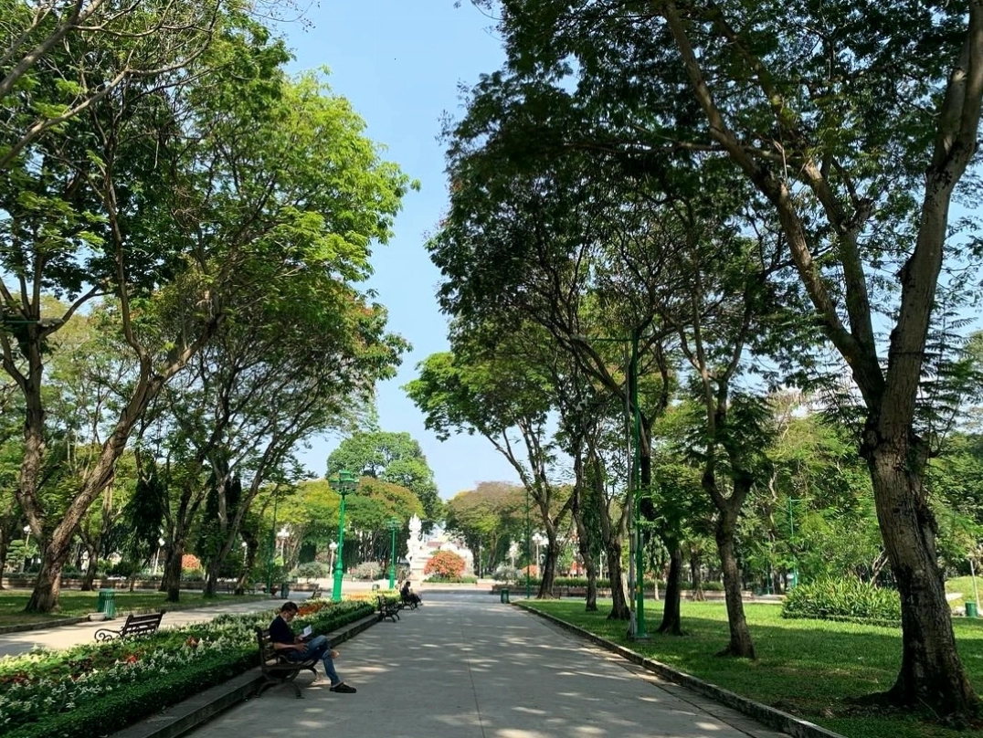 Ghi lại những khoảnh khắc với background xanh mát của cây cổ thụ và bãi cỏ tươi tốt tại công viên