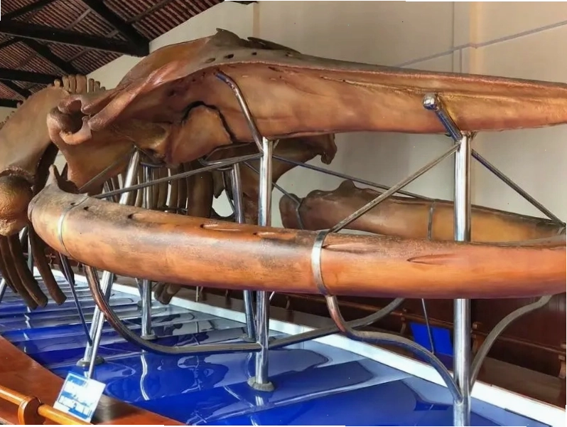 Gia đình vui chơi trên bãi cát tại biển Đồi Dương